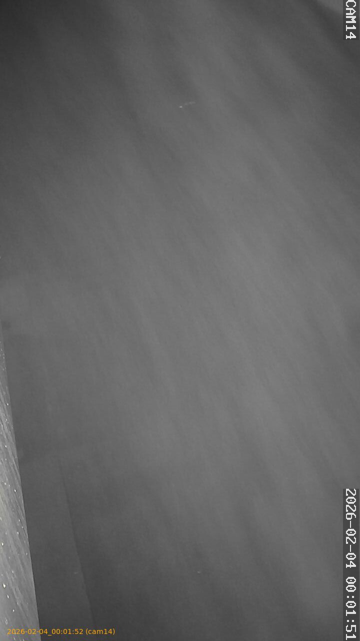 thumbnail_20260204000152