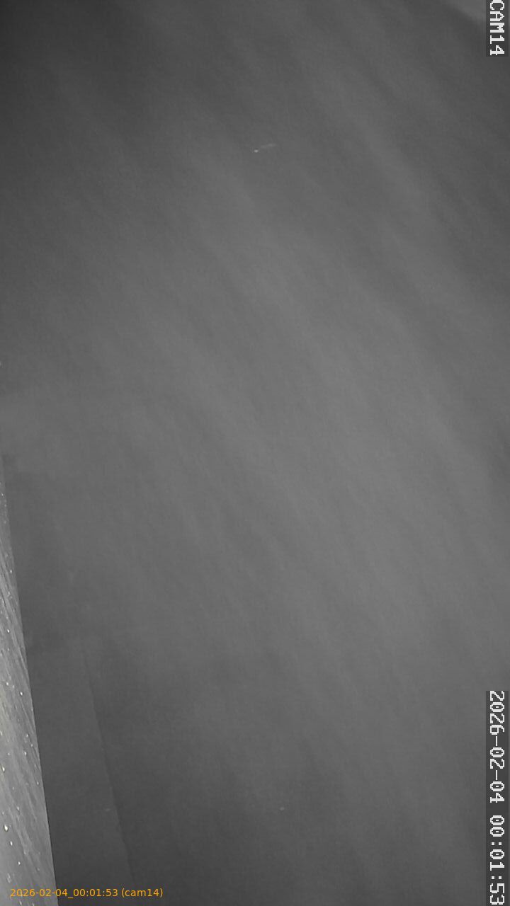 thumbnail_20260204000153