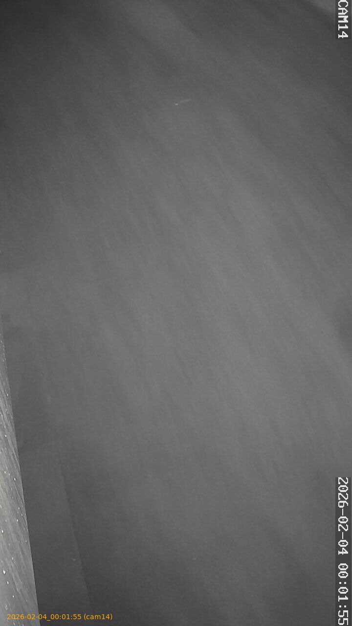 thumbnail_20260204000155