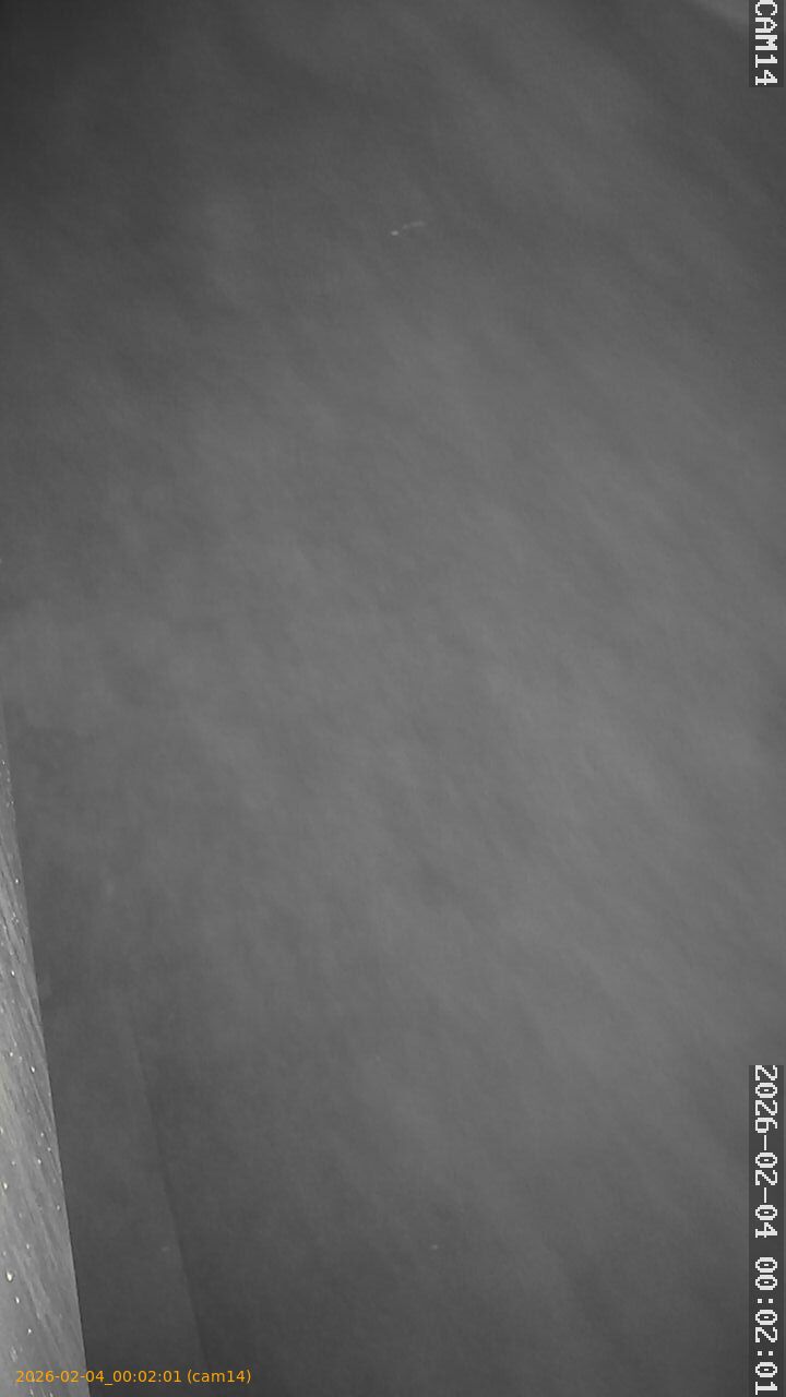 thumbnail_20260204000201