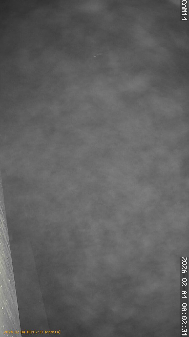 thumbnail_20260204000231