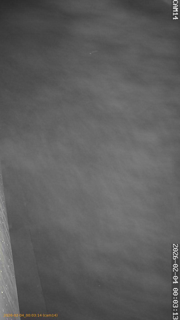 thumbnail_20260204000314