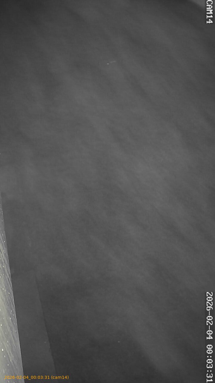 thumbnail_20260204000331