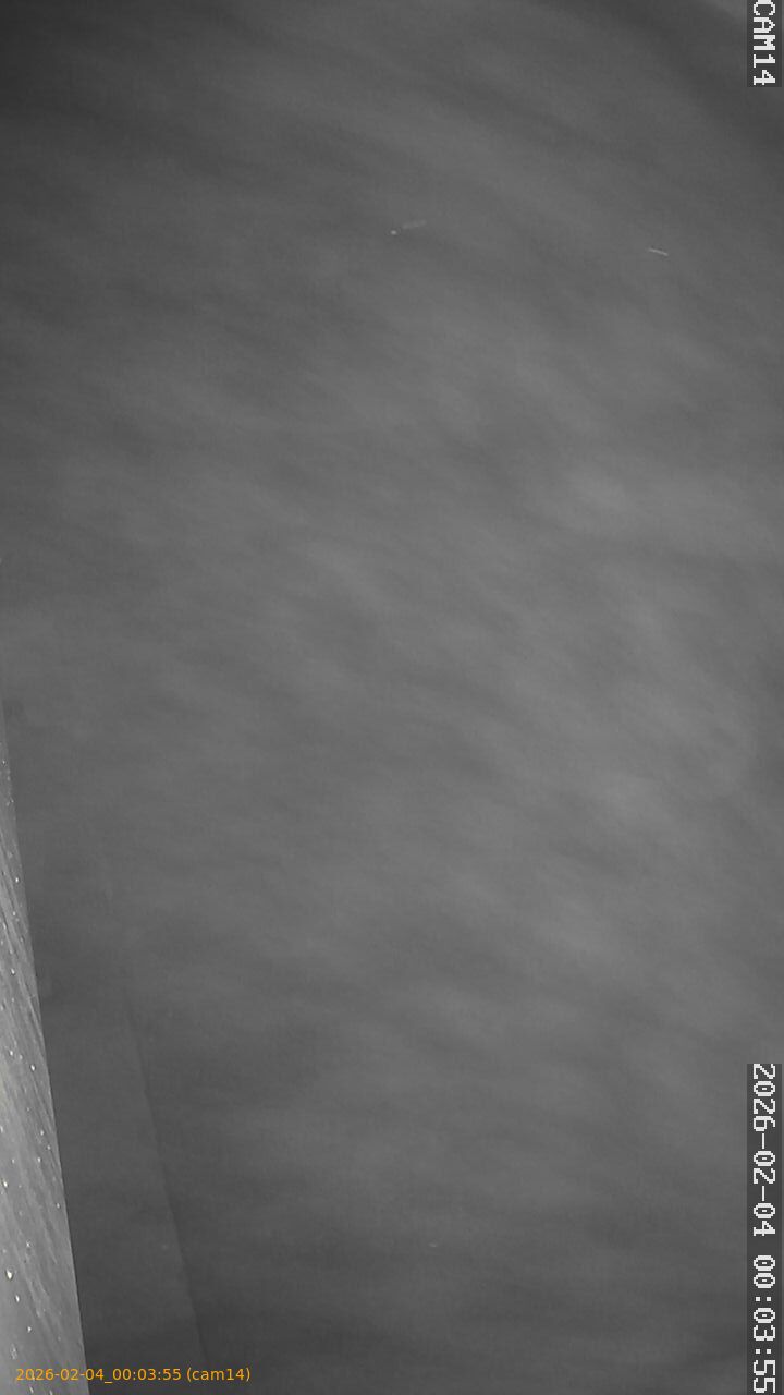 thumbnail_20260204000355