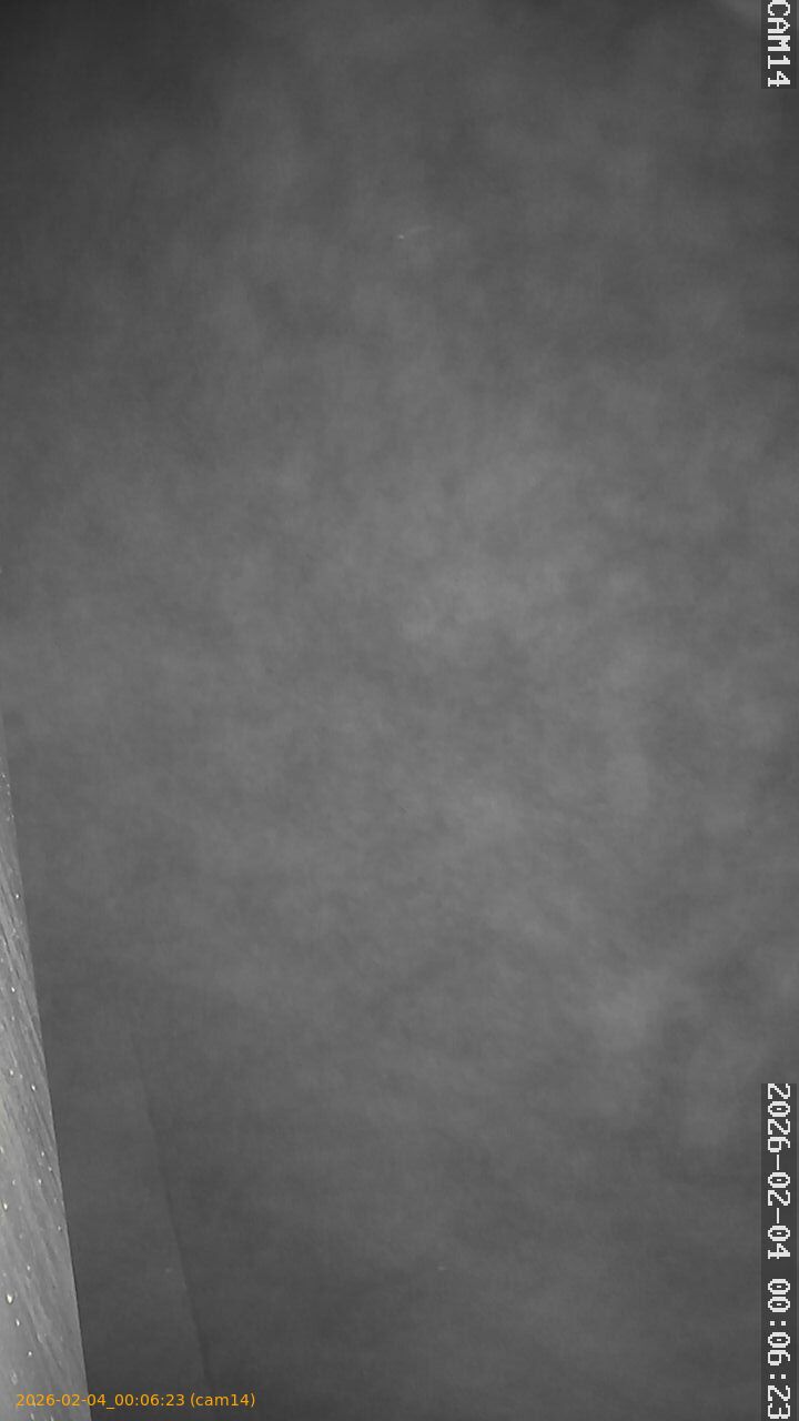 thumbnail_20260204000623