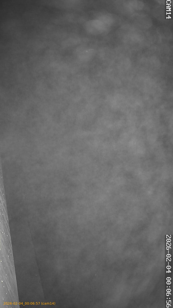 thumbnail_20260204000657