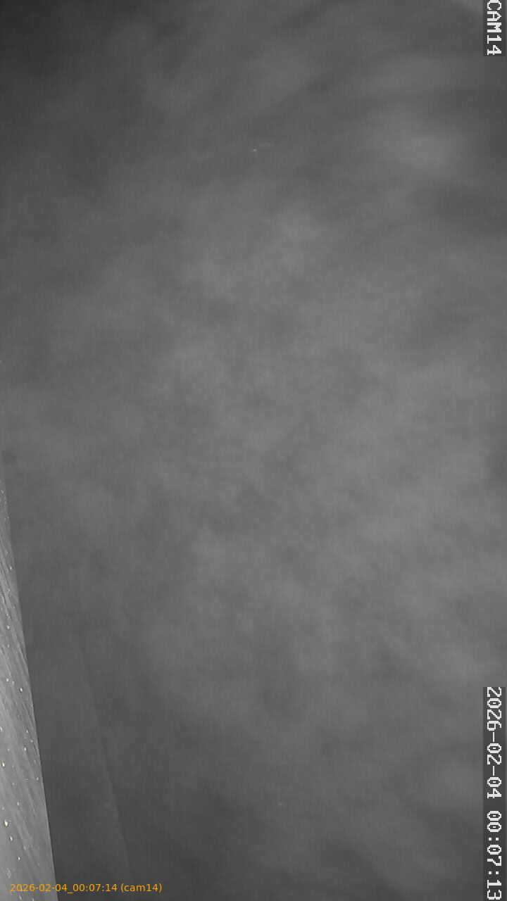 thumbnail_20260204000714