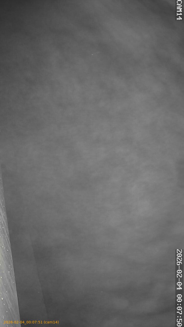 thumbnail_20260204000751