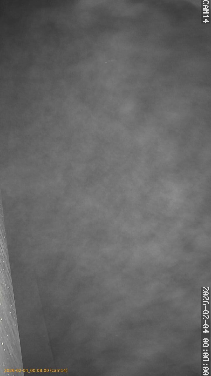 thumbnail_20260204000800