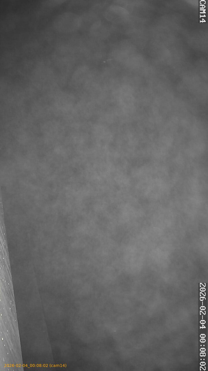 thumbnail_20260204000802