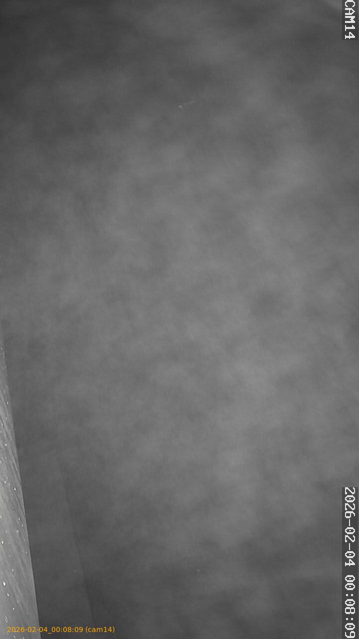 thumbnail_20260204000809