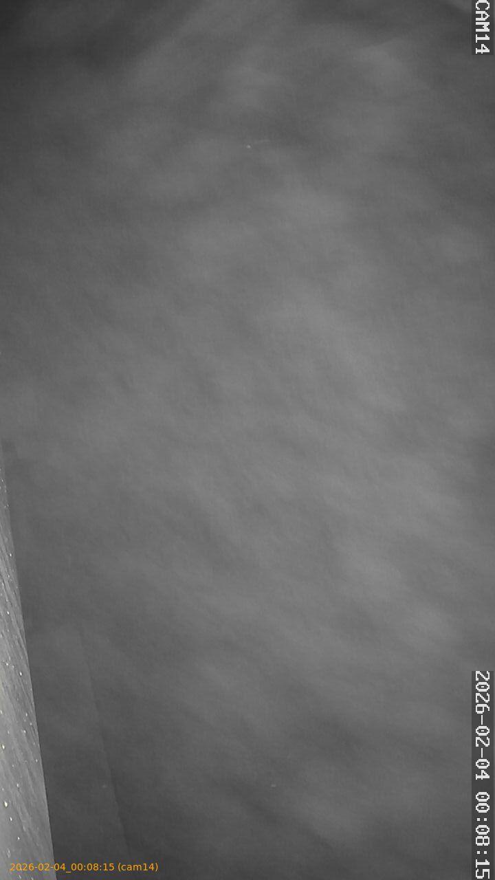 thumbnail_20260204000815