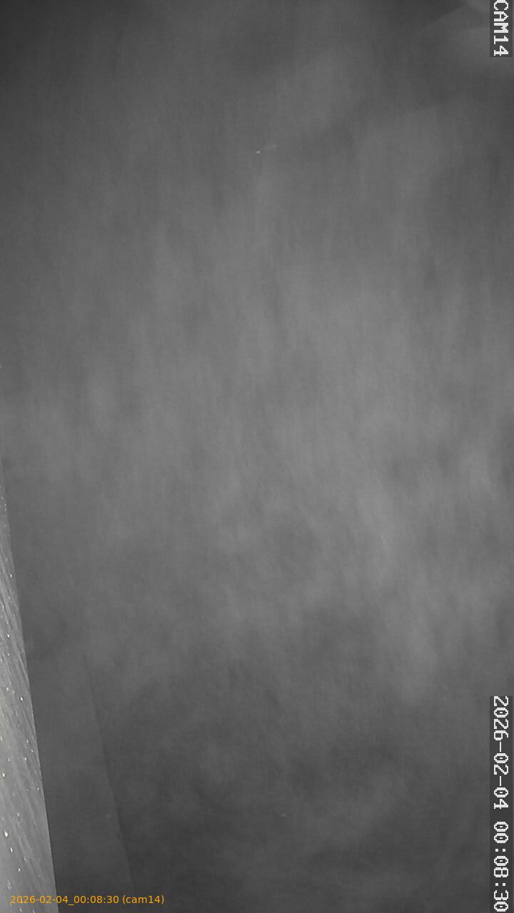 thumbnail_20260204000830