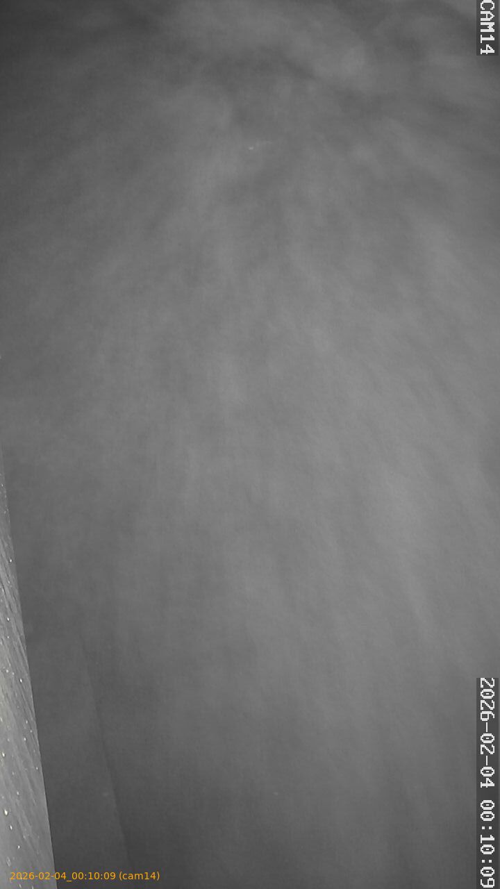 thumbnail_20260204001009