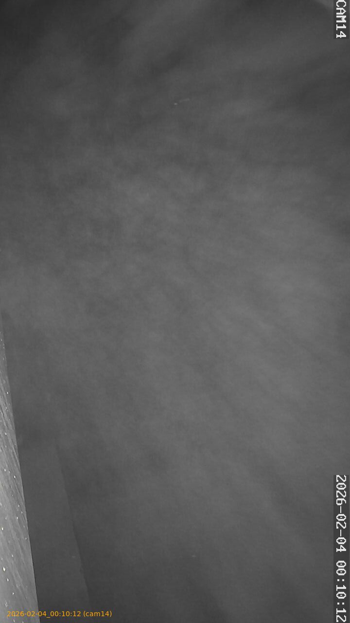 thumbnail_20260204001012