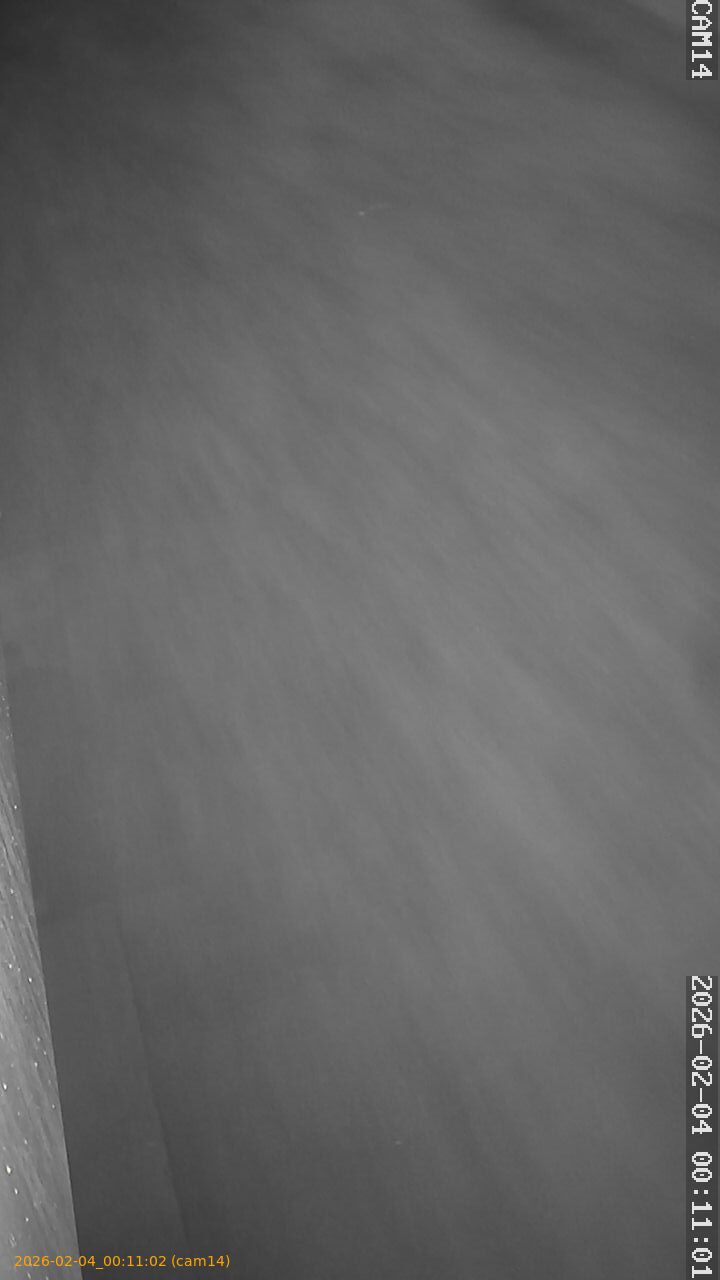 thumbnail_20260204001102