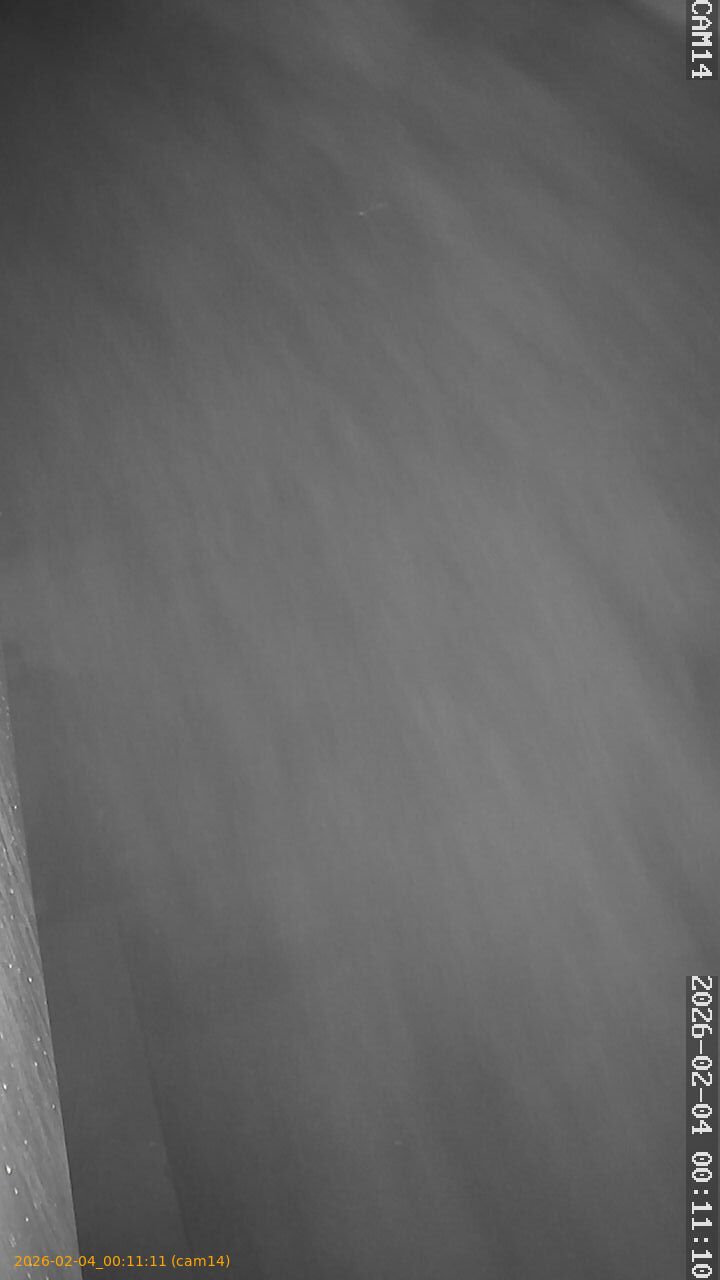 thumbnail_20260204001111