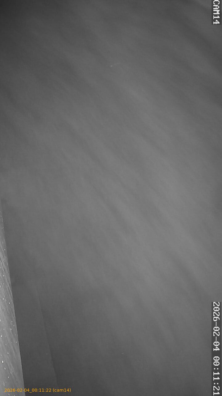 thumbnail_20260204001122