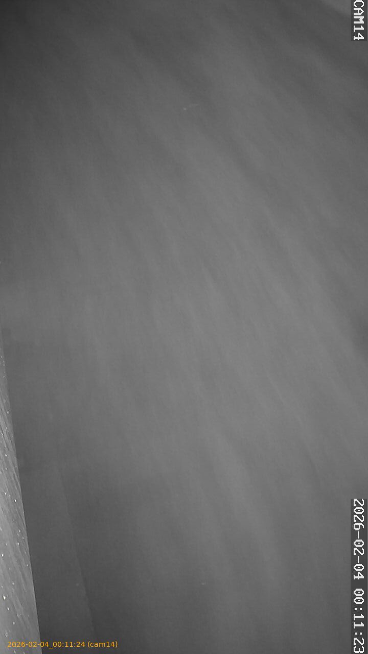 thumbnail_20260204001124