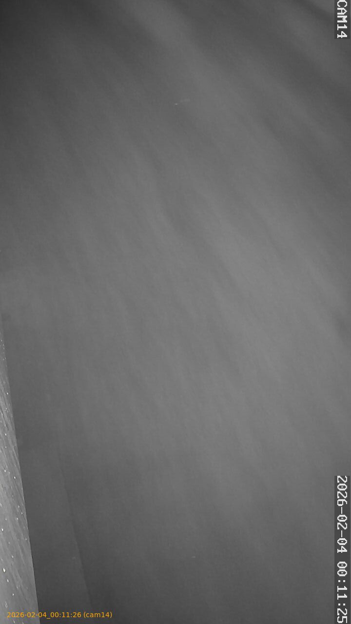 thumbnail_20260204001126