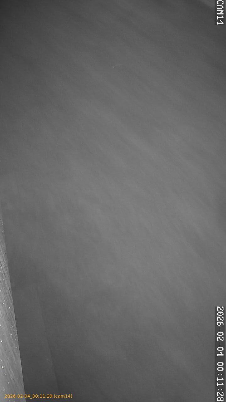 thumbnail_20260204001129