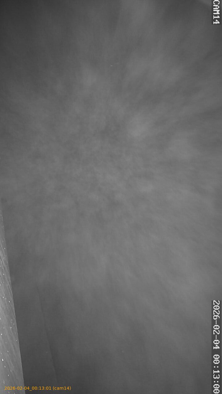 thumbnail_20260204001301