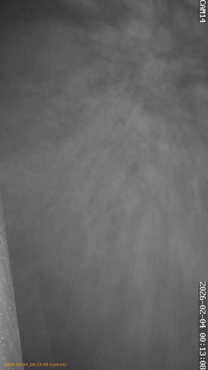 thumbnail_20260204001309