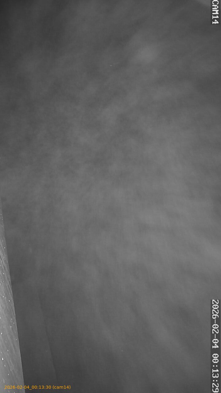 thumbnail_20260204001330