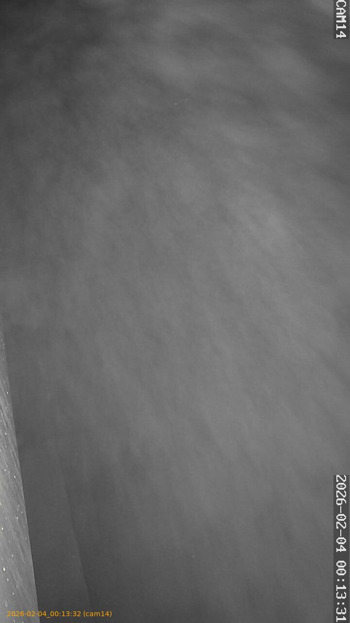 thumbnail_20260204001332