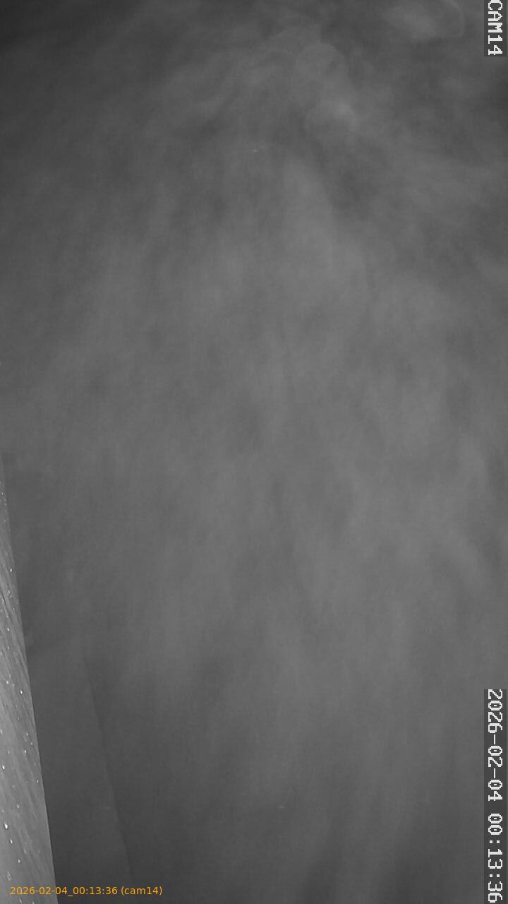 thumbnail_20260204001336