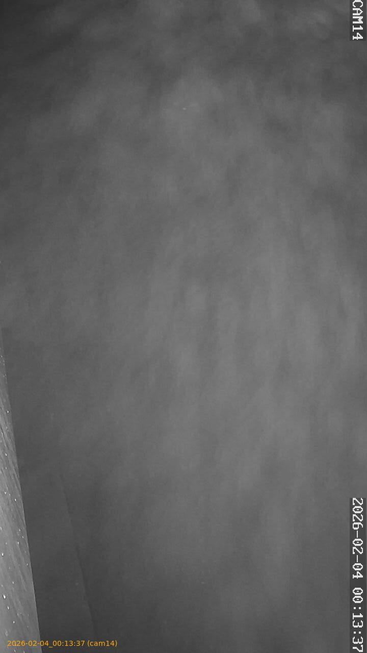 thumbnail_20260204001337