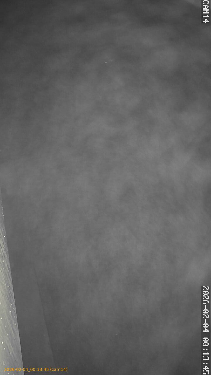 thumbnail_20260204001345