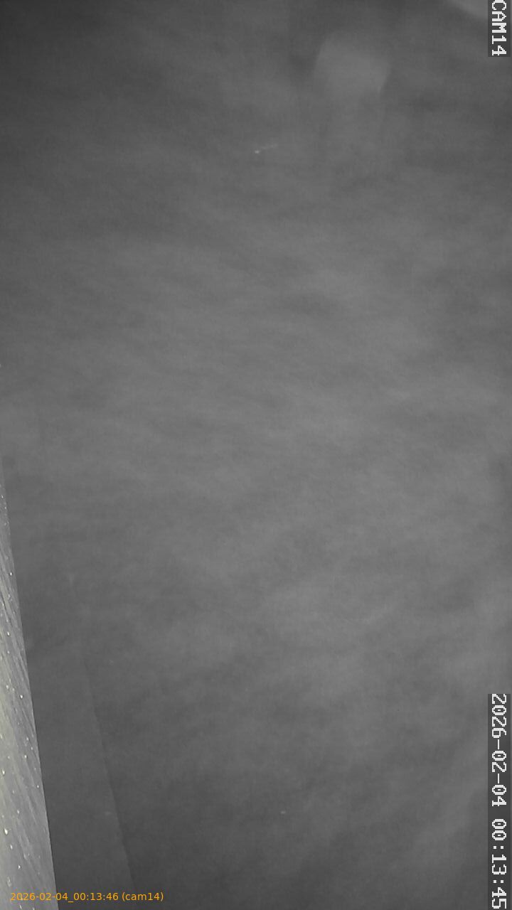 thumbnail_20260204001346