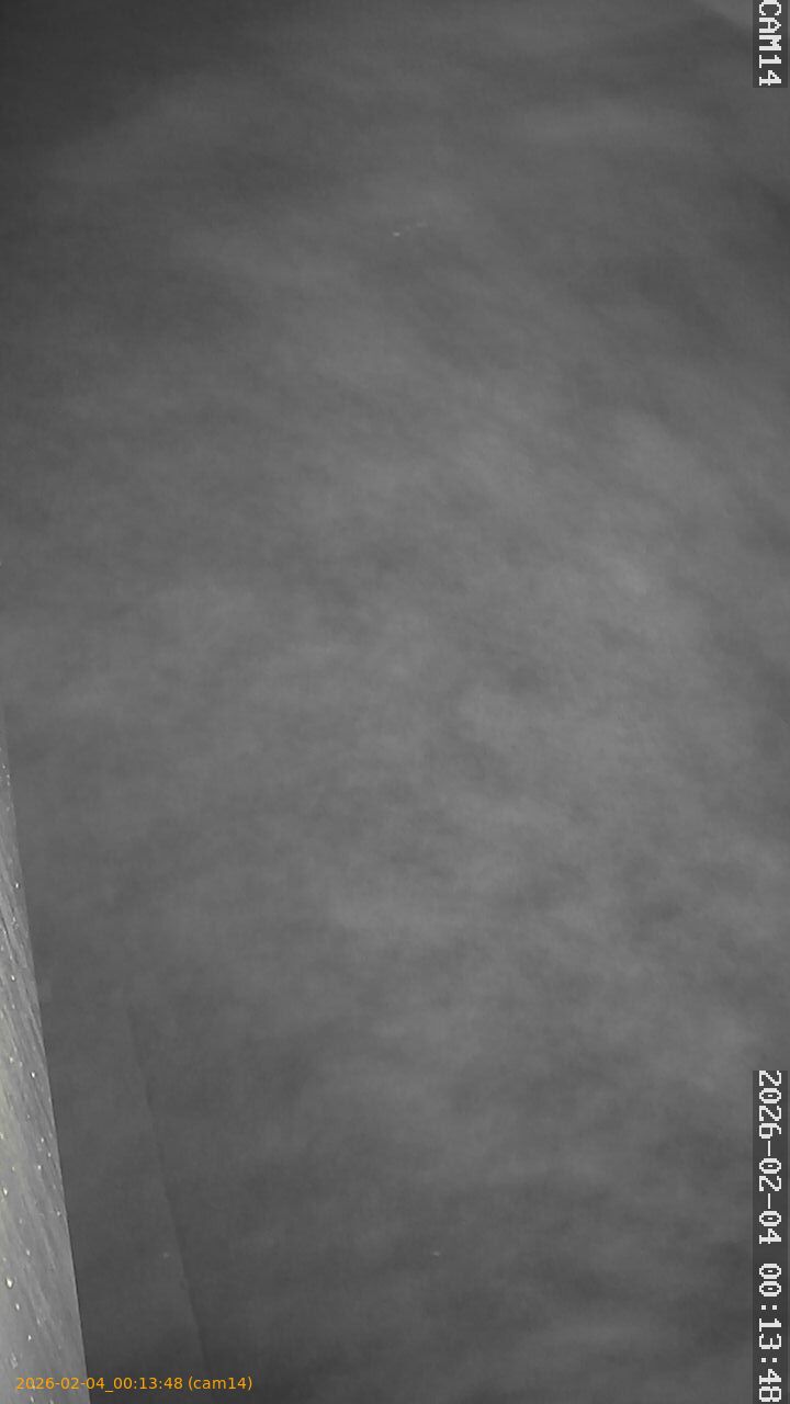 thumbnail_20260204001348