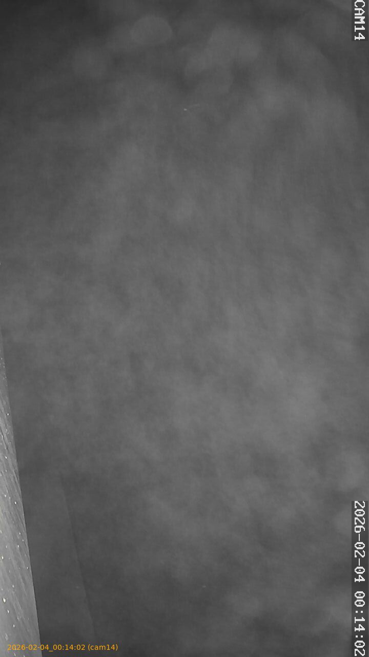 thumbnail_20260204001402