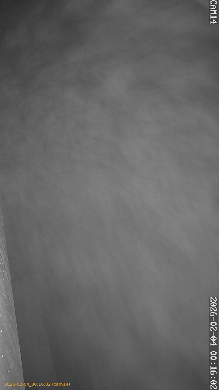 thumbnail_20260204001602