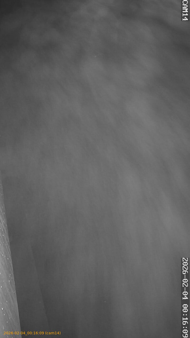 thumbnail_20260204001609