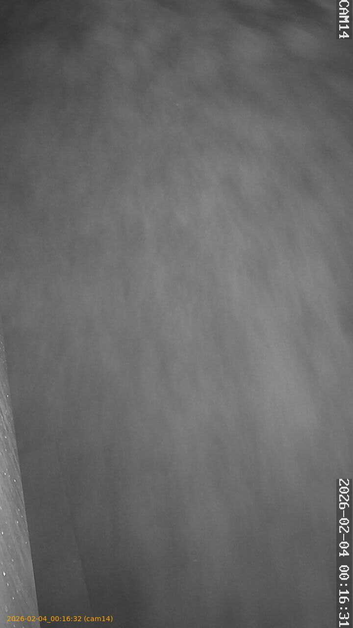 thumbnail_20260204001632