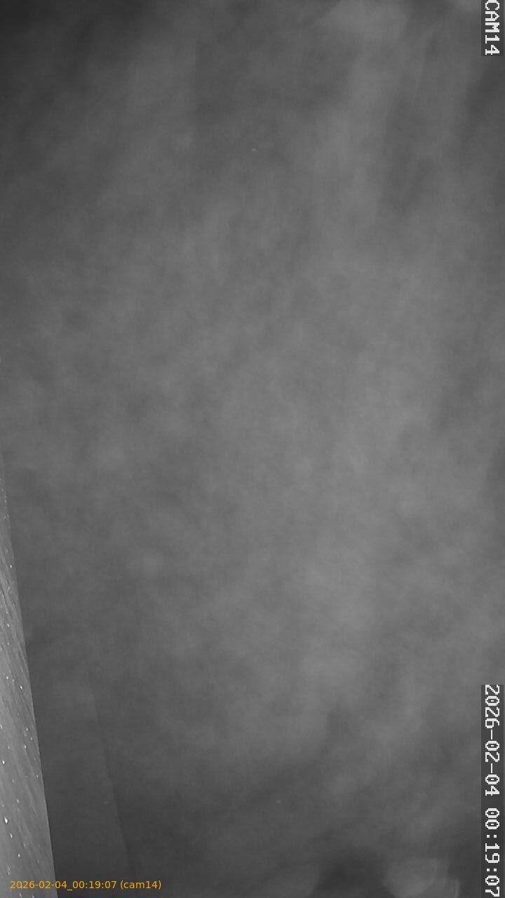 thumbnail_20260204001907