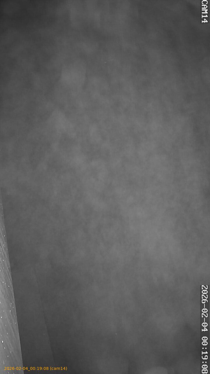 thumbnail_20260204001908