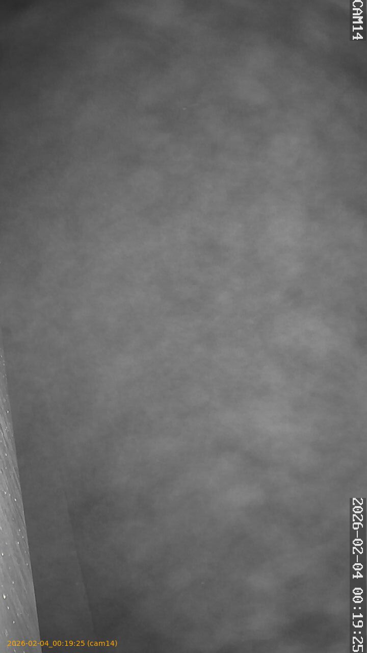 thumbnail_20260204001925