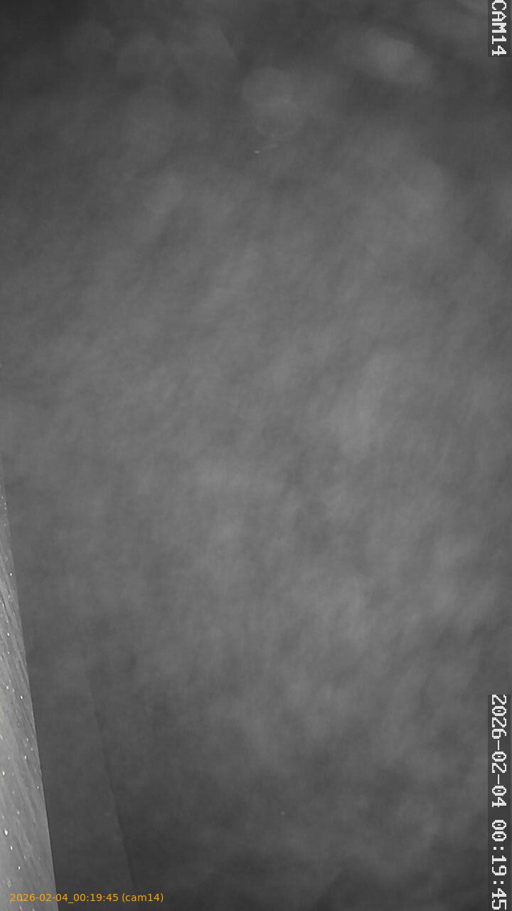 thumbnail_20260204001945