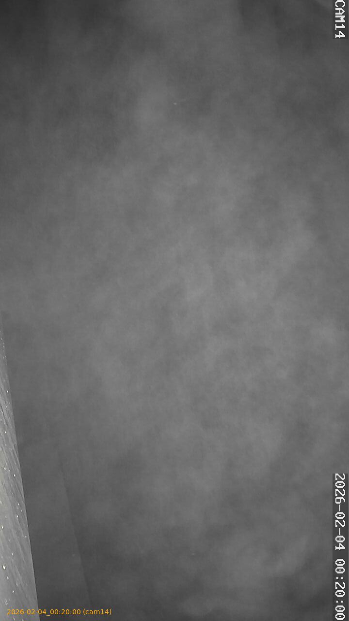 thumbnail_20260204002000