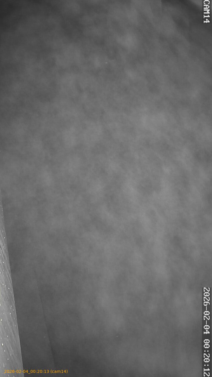 thumbnail_20260204002012