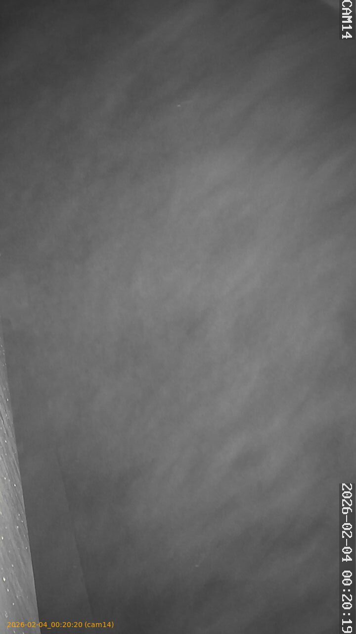 thumbnail_20260204002020