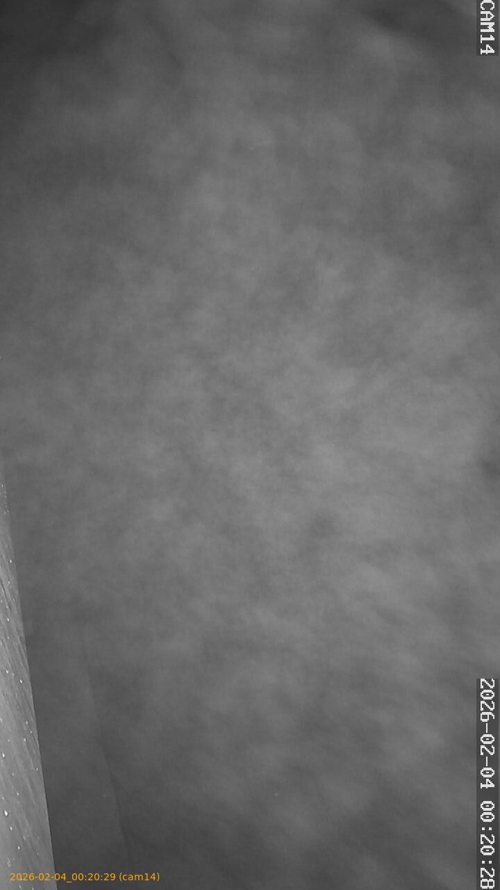 thumbnail_20260204002029