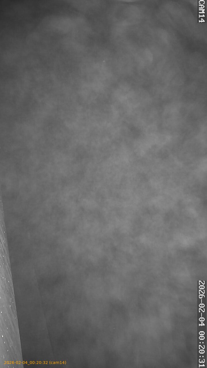 thumbnail_20260204002032