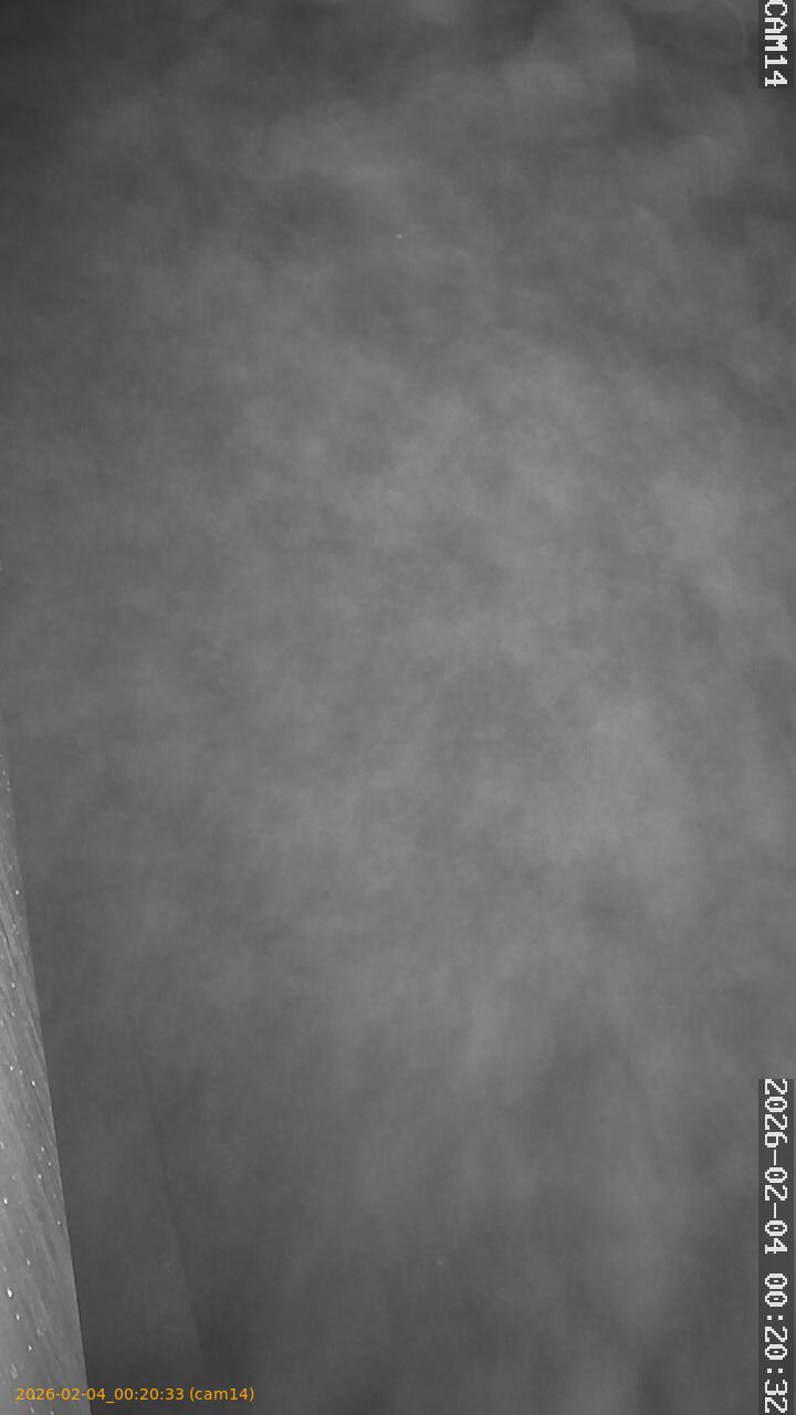 thumbnail_20260204002033