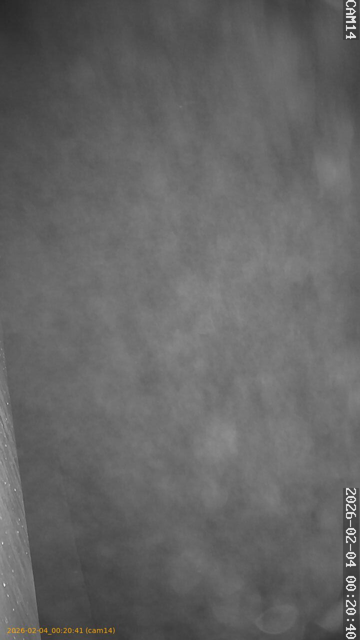 thumbnail_20260204002041