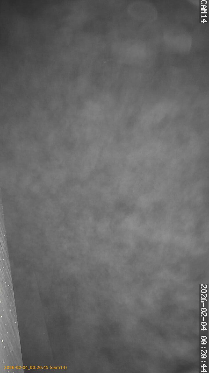 thumbnail_20260204002045